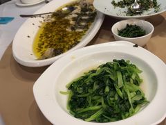 -圆苑(金茂店)