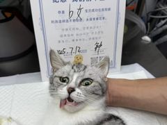 -芭比堂动物医院·心脏专科·夜诊·吉雅分院