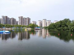 -新江湾城公园