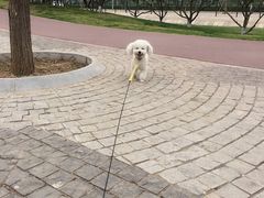 -北京博爱动物医院有限公司