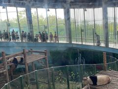 -大连森林动物园