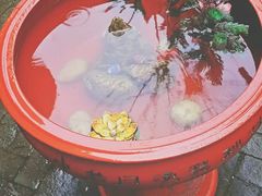 -猫色咖啡·猫咖