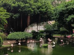 -九龙公园
