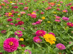 -沈阳森林动物园