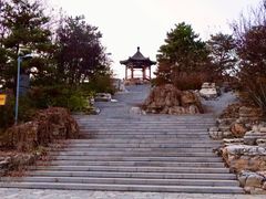 -大兴滨河森林公园