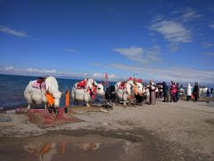 -青海湖国家重点风景名胜区