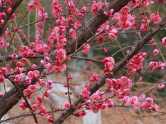 -东林广场(地铁站)