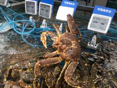 -盒马鲜生(大成店)