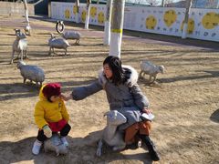 -九十九顶毡房(阜石路店)