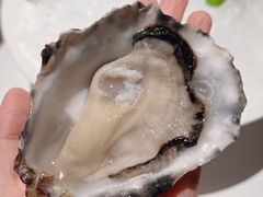 -Oyster Talks 四度蚝法餐厅
