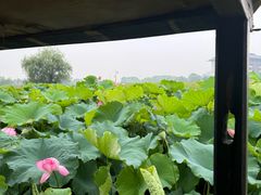 -湘湖大院(越王路店)