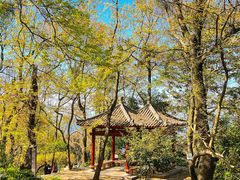 -广州市石门国家森林公园