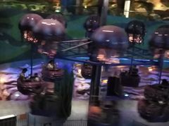 -青岛嘉年华主题乐园