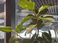 -SHAN山(前滩太古里店)