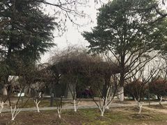 -白塘生态植物园