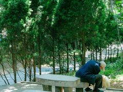-观象山公园
