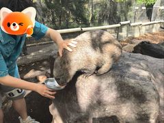 -费瑟代尔野生动物园