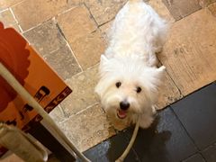 -MORNING GOOD Bistro(翰林府店)
