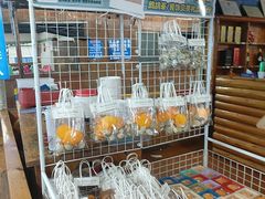 -蓝湾碧波·老字号·疍家非遗海上餐厅