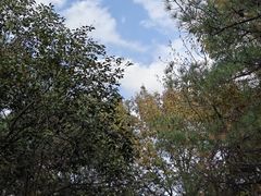 -穹窿山景区