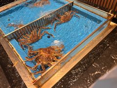 -蟹将军·松叶蟹和牛日料放题自助(K11店)