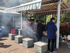 -吴淞炮台湾湿地森林公园烧烤区