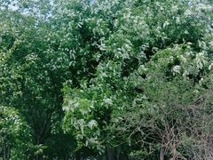 -长春公园(普阳街道)