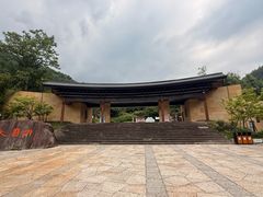 -天目山大树王景区