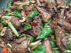 辣炒贵妃鸡-齐海鱼圣深海石斑鱼火锅店(极地海洋世界店)