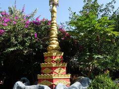 景点-瑞丽独树成林风景区