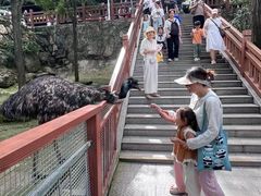 -栾川竹海野生动物园