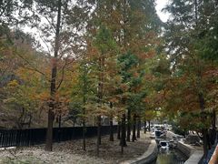 -白水寺森林公园