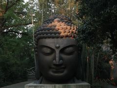 -杭州植物园