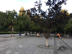 -古城公园