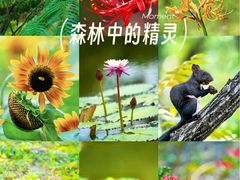 -国家植物园南园