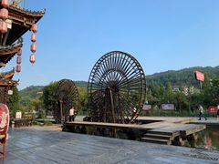 -印象鲵宴·张家界地标美食名片(溪布街店)