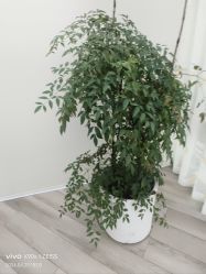 -HEYAN荷妍专业脱毛连锁机构