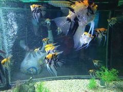 -常州海昌海洋探索馆