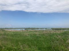 -盐城丹顶鹤湿地生态旅游区