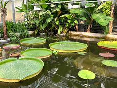 -国家植物园南园