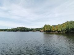 -西樵山风景名胜区-天湖公园