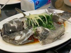 清蒸石斑-蚝专家(北滘店)