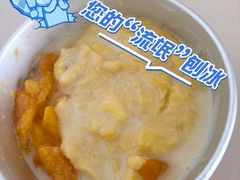 -铁真·刨冰红焖羊肉·正宗老字号