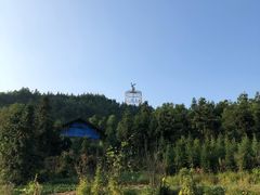 景观位-卡拉农庄 正宗斗鸡肉