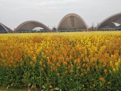 -中国天府农业博览园