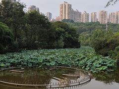 -龙头寺公园