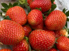 -会江钓鱼钓虾烧烤场