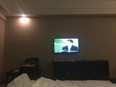 -张家界大成山水国际大酒店