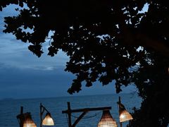 -卷心菜和避孕套餐厅(Pattaya)