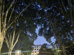-河南省黄河迎宾馆